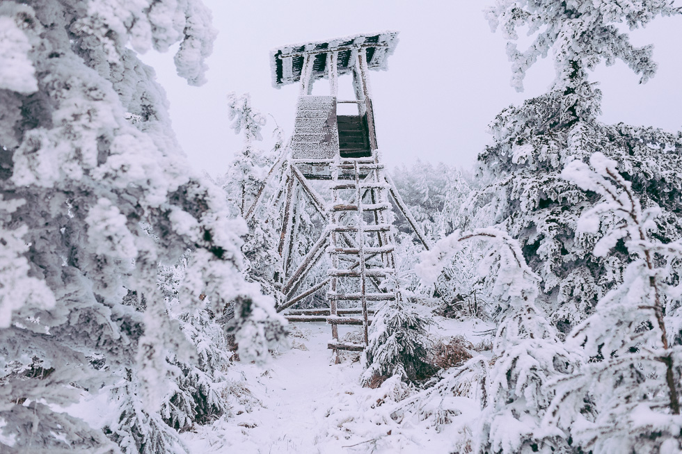 Ambiance glaciale dans les forêts d'Altenberg dans le district de Dresden en Allemagne le 4 février 2014. 