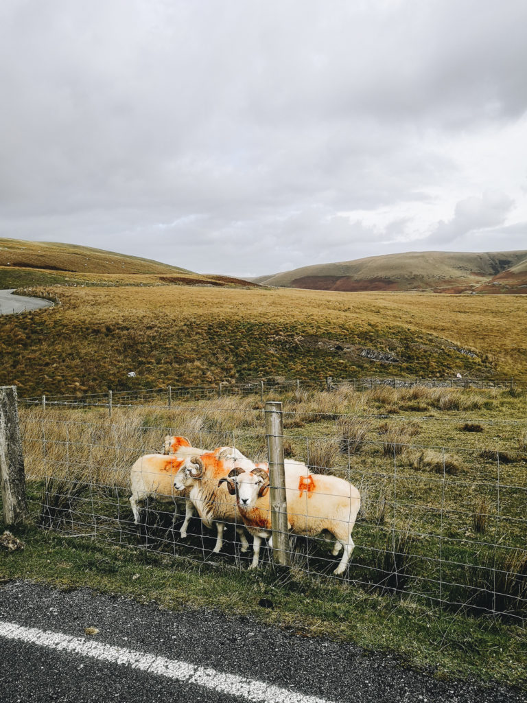 Voyages en vélo aux Pays de Galle en septembre 2018.
