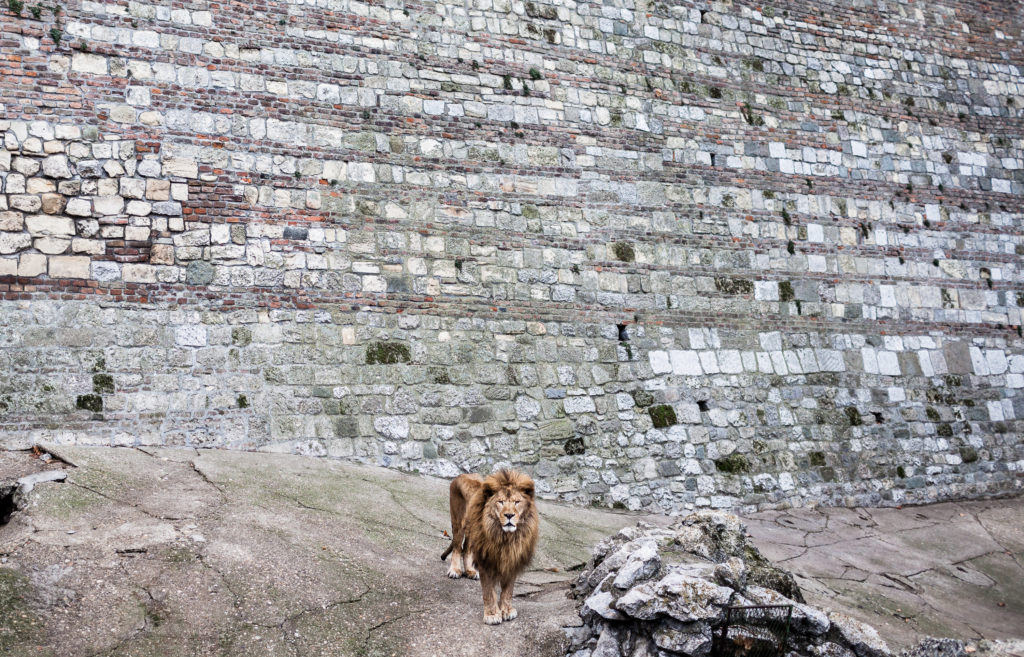 Le zoo de Belgrade situé dans la vieille ville.