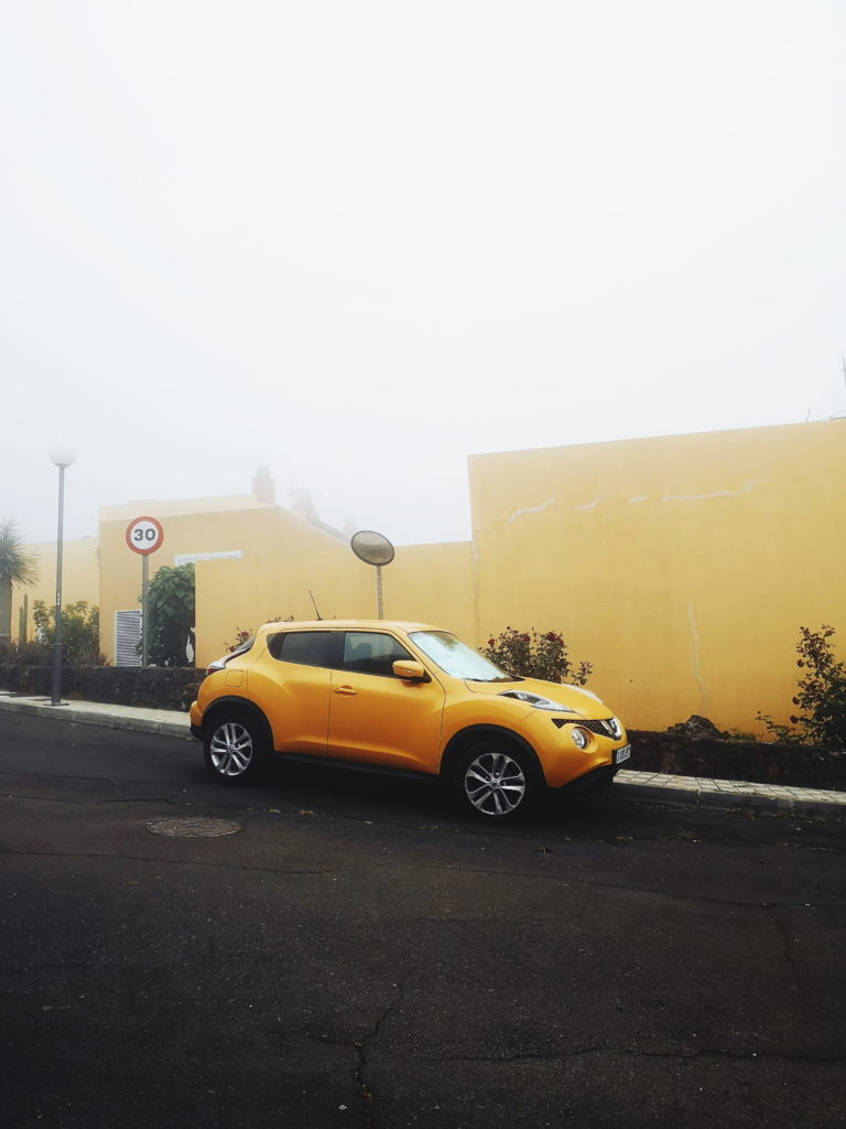 Processed with VSCO with lv01 preset