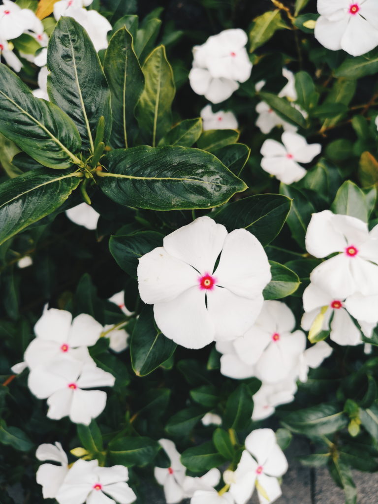 Processed with VSCO with hb2 preset