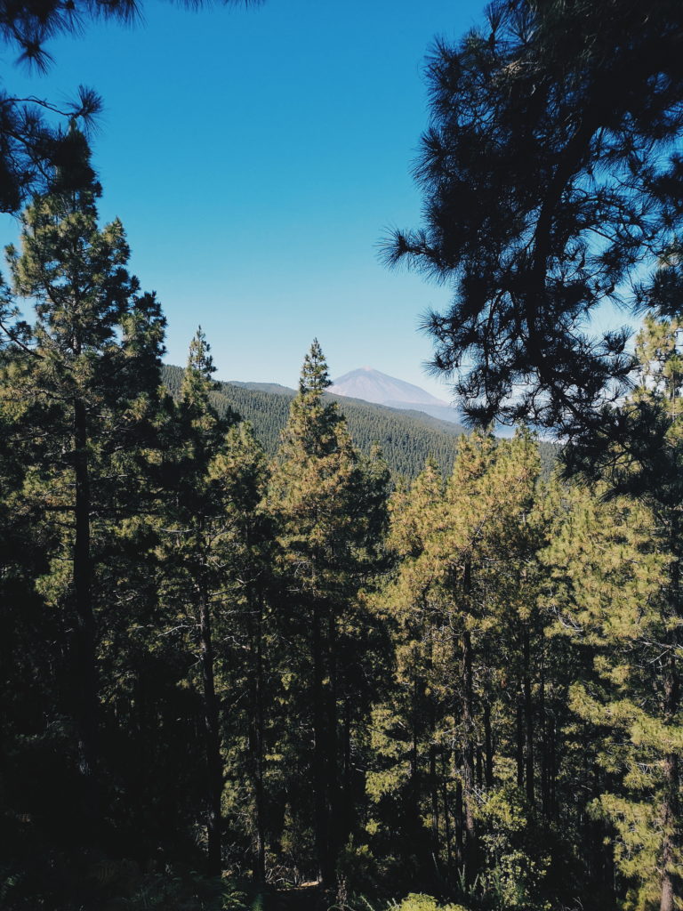 Processed with VSCO with hb2 preset