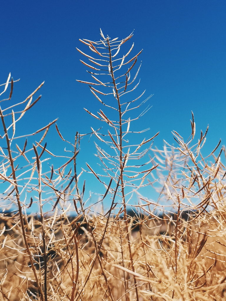 Processed with VSCO with hb2 preset