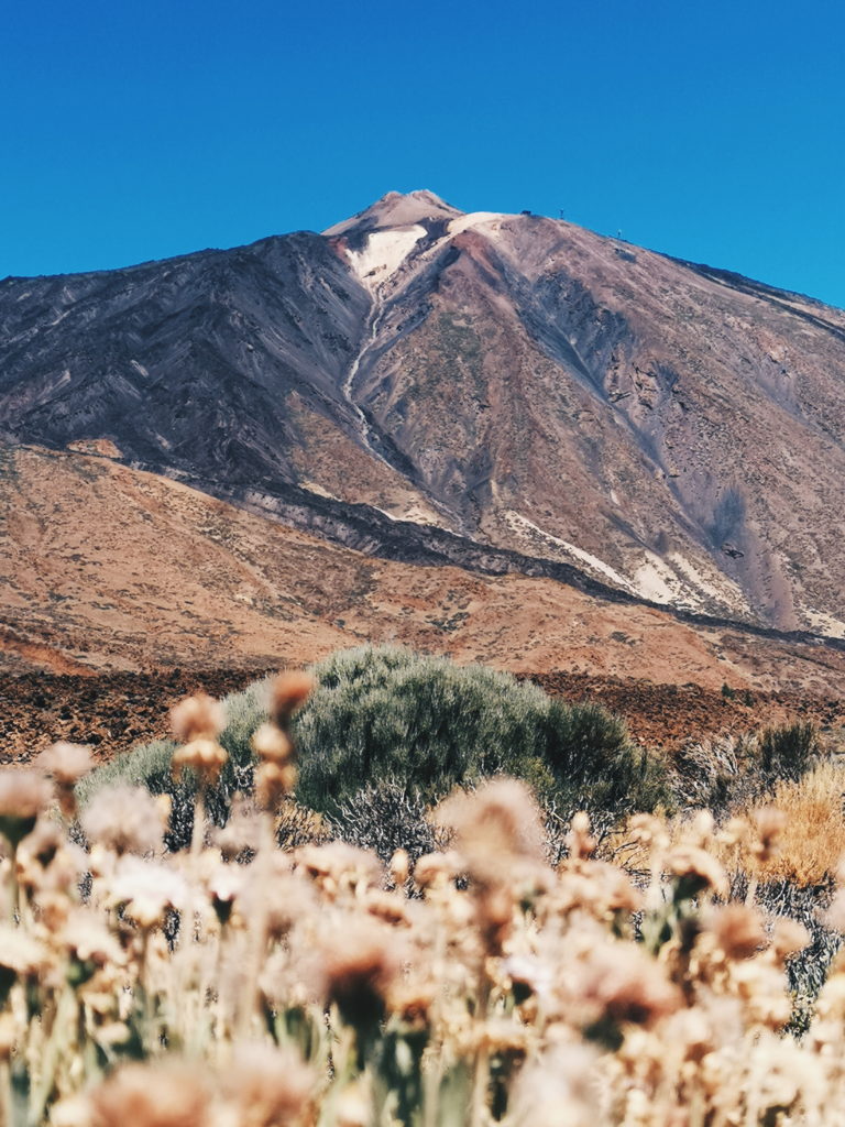 Processed with VSCO with hb2 preset