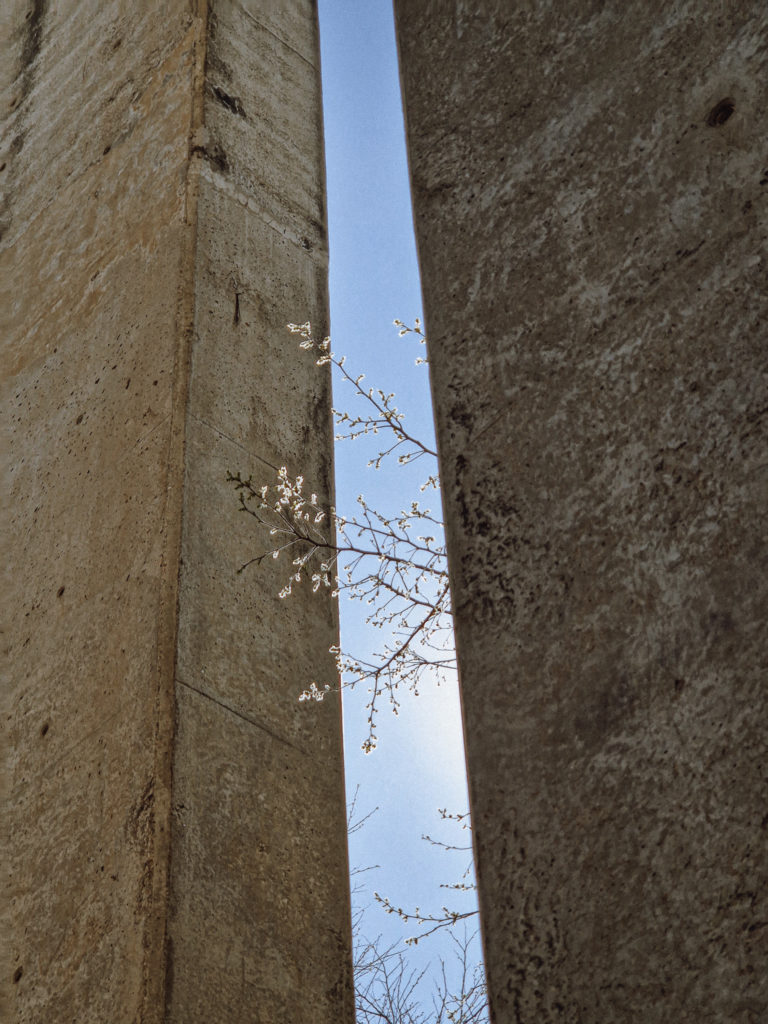 Voyage en Afrique du Sud entre Johanesbourg et Cap Town, en voiture, en aout 2022 avec Pierre Morel et Pauline Caylak.