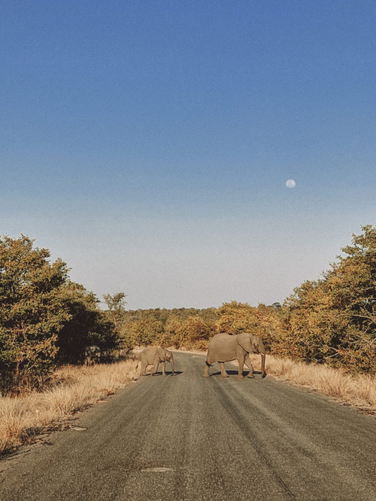Voyage en Afrique du Sud entre Johanesbourg et Cap Town, en voiture, en aout 2022 avec Pierre Morel et Pauline Caylak.