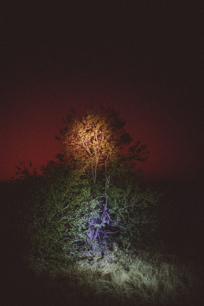 Voyage en Afrique du Sud entre Johanesbourg et Cap Town, en voiture, en aout 2022 avec Pierre Morel et Pauline Caylak.