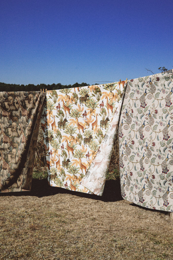 Voyage en Afrique du Sud entre Johanesbourg et Cap Town, en voiture, en aout 2022 avec Pierre Morel et Pauline Caylak.