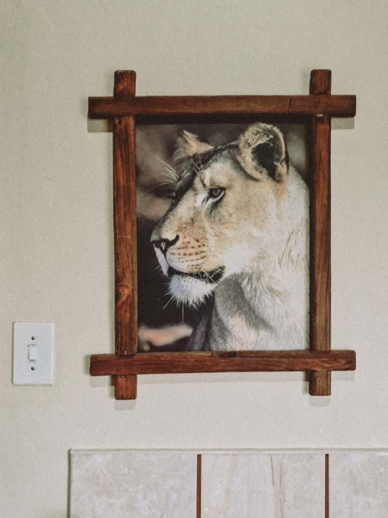 Voyage en Afrique du Sud entre Johanesbourg et Cap Town, en voiture, en aout 2022 avec Pierre Morel et Pauline Caylak.